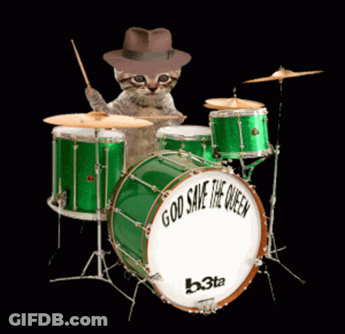 Cat In Fedora Playing Drums God Save The Queen GIF