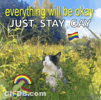 Cat In Flowers Saying Everything Will Be Okay Just Stay Gay GIF