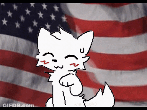 Cat In Front Of American Flag GIF