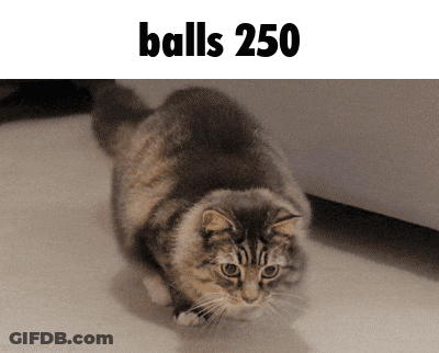 Cat In Front Of Balls 250 Sign GIF