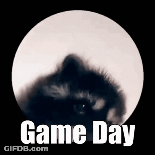 Cat In Front Of Full Moon Game Day GIF
