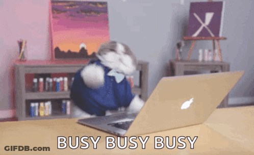 Cat In Front Of Laptop Saying Busy Busy Busy GIF