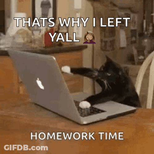 Cat In Front Of Laptop Saying That's Why I Left Yall Homework Time GIF