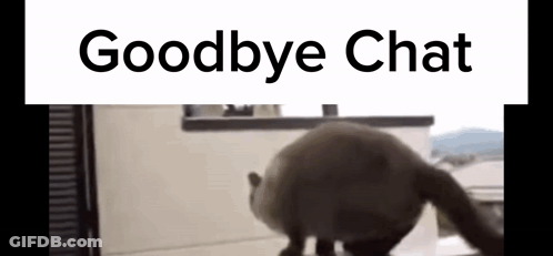 Cat In Front Of Window Goodbye Chat GIF