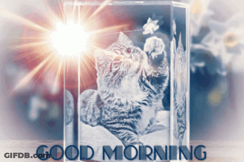 Cat In Glass Block Good Morning GIF