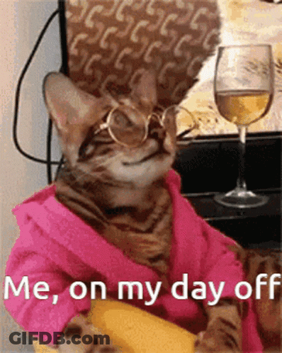 Cat In Glasses And Bathrobe With Wine GIF