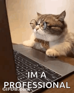Cat In Glasses And Bow Tie Laying On Laptop GIF
