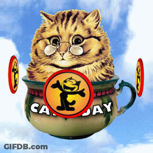 Cat In Glasses In Cat Jay Cup GIF