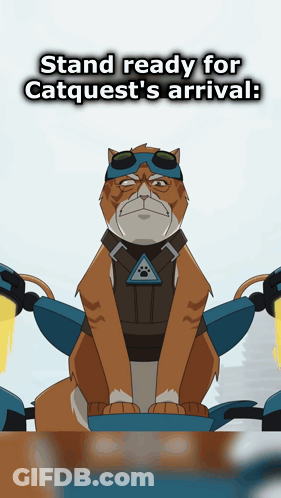 Cat In Goggles And Vest Stand Ready For Catquest's Arrival GIF