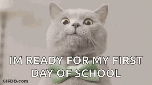 Cat In Green Bow Tie Ready For School GIF