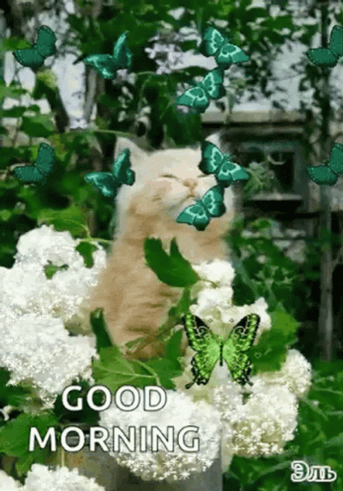 Cat In Green Floral Garden GIF