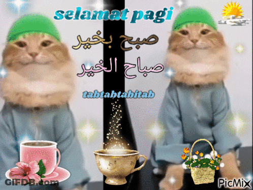 Cat In Green Hat Beside Coffee And Flowers GIF