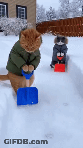 Cat In Green Jacket Shoveling Snow GIF