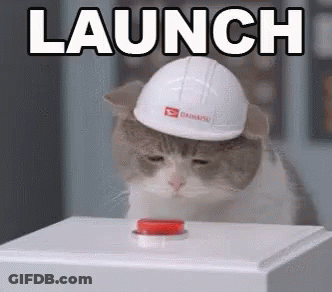Cat In Hard Hat Pressing Launch Button GIF