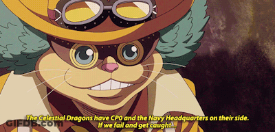 Cat In Hat And Goggles Saying The Celestial Dragons Have CPU And The Navy Headquarters On Their Side GIF