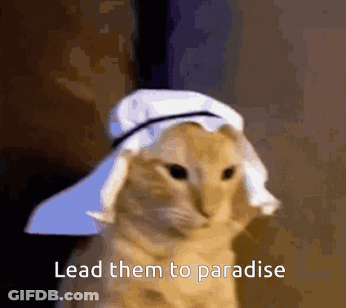Cat In Hat And Scarf Saying Lead Them To Paradise GIF