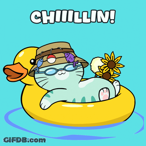 Cat In Hat And Sunglasses Floating On Yellow Rubber Duck Chillin GIF