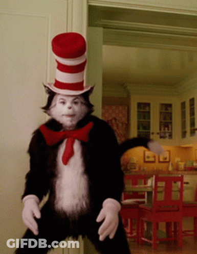 Cat In Hat Costume GIF