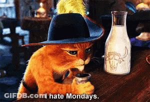 Cat In Hat Drinking I Hate Mondays Milk GIF