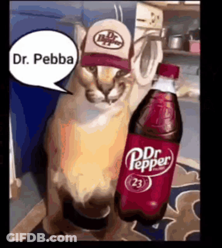 Cat In Hat Holding Dr. Pepper GIF