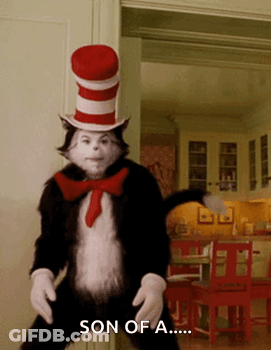 Cat In Hat Saying Son Of A GIF