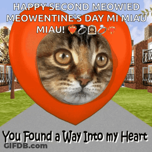 Cat In Heart You Found Way Into Heart GIF