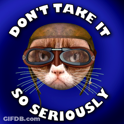 Cat In Helmet And Goggles Don't Take It So Seriously GIF