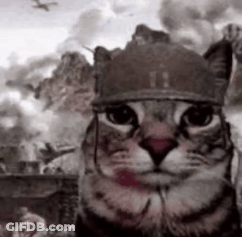 Cat In Helmet In Front Of Battle Painting GIF