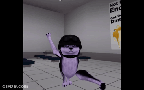 Cat In Helmet Standing Before Not End Get Done Sign GIF