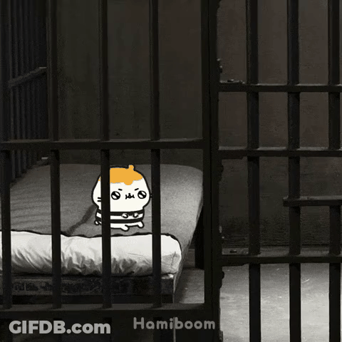 Cat In Jail Cell Hamiboom GIF