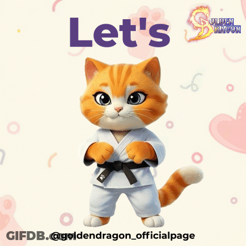 Cat In Karate Uniform Saying Let's GIF