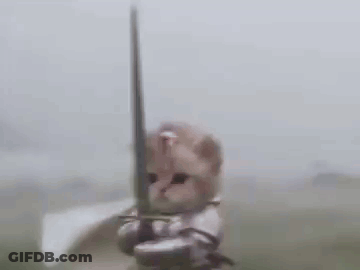 Cat In Knight Armor Holding Sword GIF