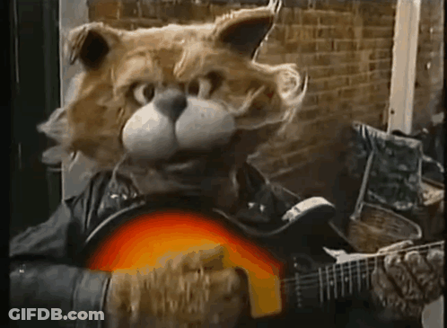 Cat In Leather Jacket Playing Guitar GIF