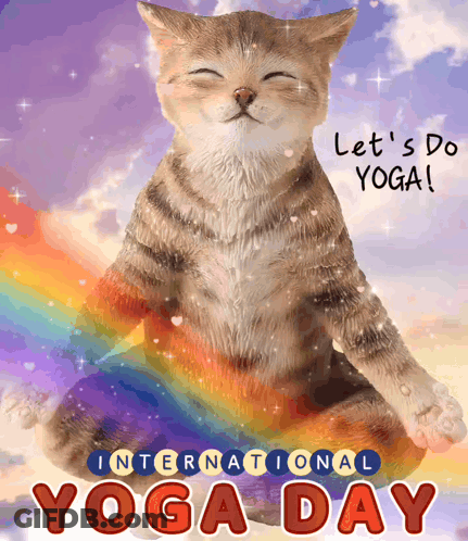 Cat In Lotus Position Saying Let's Do Yoga GIF