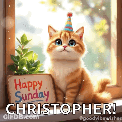 Cat In Mask Saying Veed.io GIF