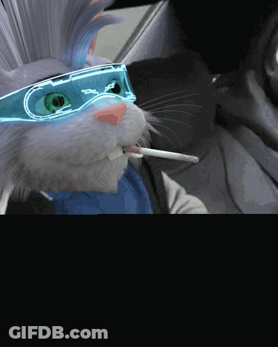 Cat In Neon Glasses Smoking Cigarette Holding Napkin GIF