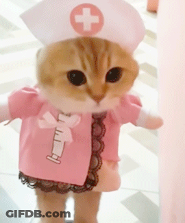 Cat In Nurse Costume With Syringe GIF