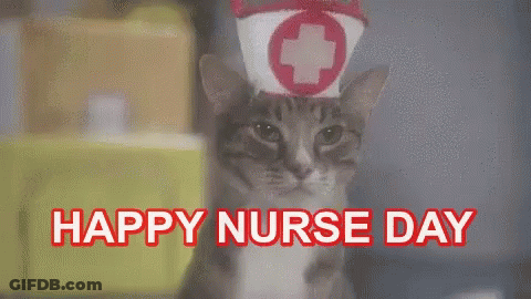 Cat In Nurse Hat Happy Nurse Day GIF