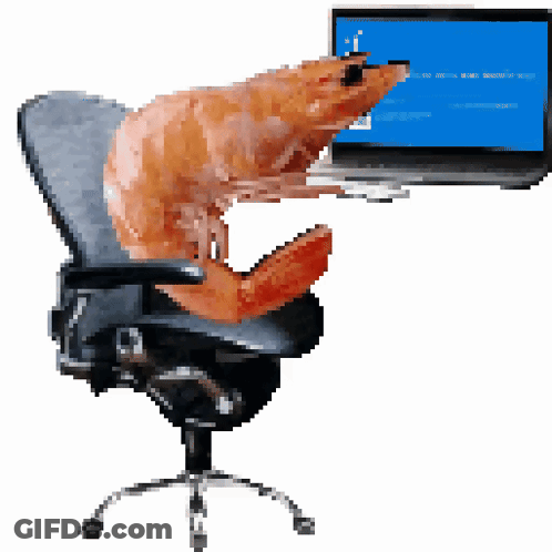 Cat In Office Chair With Blue Screen Laptop GIF