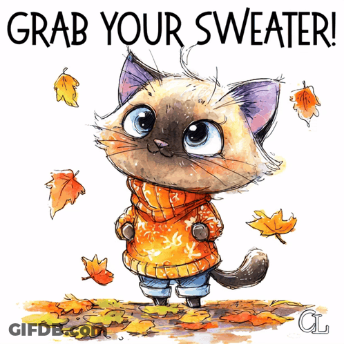 Cat In Orange Sweater Saying Grab Your Sweater GIF