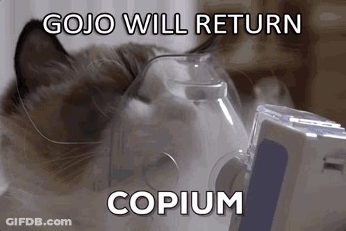 Cat In Oxygen Mask Gojo Will Return Copium GIF