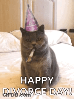 Cat In Party Hat Blowing Horn GIF