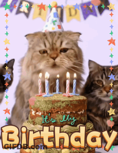Cat In Party Hat Next To Birthday Cake GIF