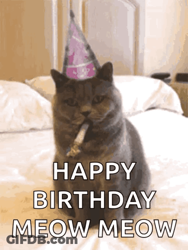 Cat In Party Hat On Bed Saying Happy Birthday Meow Meow GIF