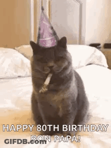 Cat In Party Hat Sitting On Bed With Candle GIF