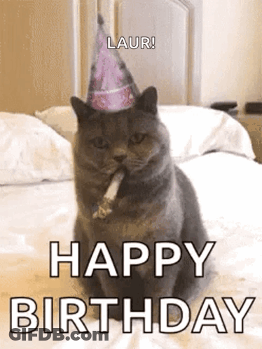 Cat In Party Hat Sitting On Bed With Cigarette GIF