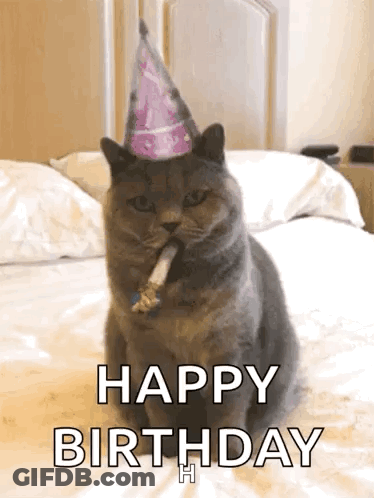 Cat In Party Hat Sitting On Bed With Cigarette GIF
