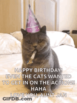 Cat In Party Hat Sitting On Bed With Lollipop GIF