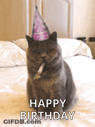 Cat In Party Hat Smoking Cigarette Happy Birthday GIF
