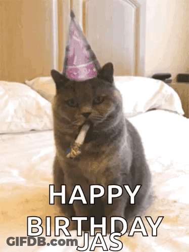 Cat In Party Hat With Cigarette Saying Happy Birthday Jas GIF